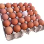 Segunda imagen para búsqueda de cajas de huevo de 180