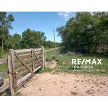 Venta Campo En Selvas Del Rio De Oro - Chaco 