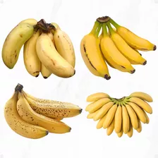 Kit 6 Mudas De Banana Maçã, Prata, Nanica - Pronta Entrega 