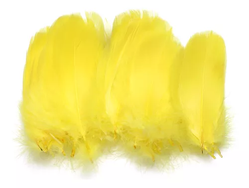 Segunda imagen para búsqueda de plumas amarillas