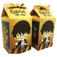 Caixa Milk Harry Potter 10 Unidades 
