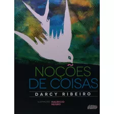 Noções De Coisas, De Ribeiro, Darcy. Série Darcy Ribeiro Editora Grupo Editorial Global, Capa Mole Em Português, 2014