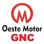 Tercera imagen para búsqueda de equipo gnc motor diesel