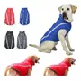 Tercera imagen para búsqueda de ropa perros impermeables