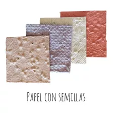 Etiquetas Tags Papel Plantable Lisas Semillas 10 Unidades