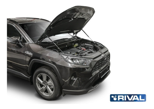 Kit Gatos De Cap  Toyota Rav4 2019+ Foto 3