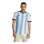 Tercera imagen para búsqueda de camiseta argentina