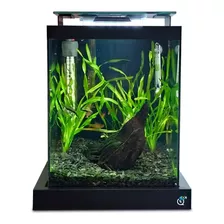 Aquário 10l Quili Blackbox Nano+luminária+filtro+decoração 