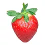 Tercera imagen para búsqueda de frutillas frescas