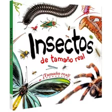 Libro Insectos De Tamaño Real Desplegable Animales