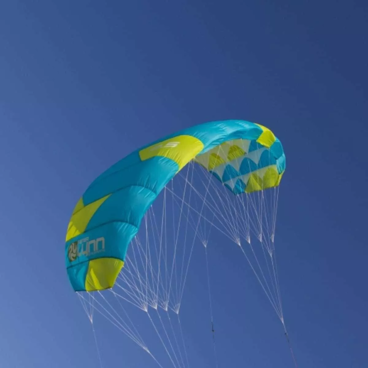 Kite Peter Lynx Depower Foil Freeride Snowkite Divertido