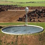 Segunda imagen para búsqueda de tanque australiano
