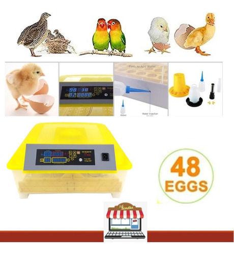 Incubadoras De 48 Huevos Digital Automático Para Pollo.
