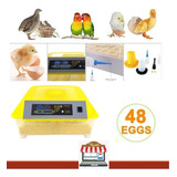Incubadoras De 48 Huevos Digital AutomÃ¡tico Para Pollo.