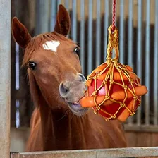 Pelotas Para Caballos Juguete De Alimentación De Zanahoria P