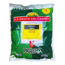 Festuca Alta Arundinácea X 1kg - Picasso - Apto S.salinos