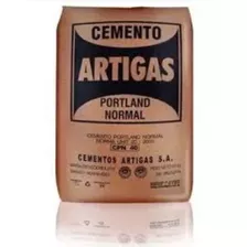 Portland Artigas 25 Kg