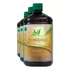 Essência Para Sauna Eucalipto Aromatizante Com 3 Lts