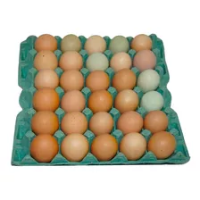 Huevos Criollos De Puro Campo De 3 - Unidad a $1533