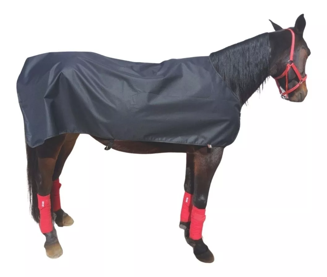 Capa Cobertura De Frio Para Cavalo Impermeável - Pocho