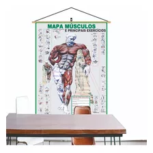 Mapa Músculo Exercício Academia Treino Corpo Banner Laminado