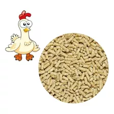 Alimento Balanceado Gallina Ponedora 5kg Nutricion Completa.