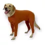 Tercera imagen para búsqueda de body cobre perro con patas