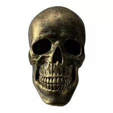 Cráneo Humano Tamaño Real Decoración Minimalista Artesanía