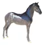 Segunda imagen para búsqueda de venta de caballo frison friesian