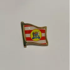 Pin Da Bandeira De Blumenau