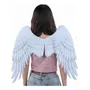 Segunda imagen para búsqueda de alas de angel