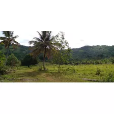 Vendo 100 Tareas De Terreno Ubicado En Hato Viejo De Yamasa Entrando Por La Nativa Del Km 22 Autopista Duarte