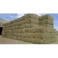 Pacas De Avena 20-25kg C/u