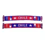 Tercera imagen para búsqueda de cotillon chile