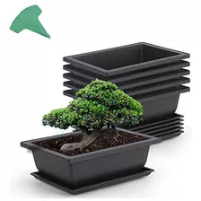 6 Packs 9 Inches Bonsai Training Pots With 15 Pcs Plant...