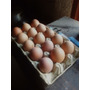 Segunda imagen para búsqueda de huevos caseros