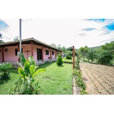 Fazenda Rocha Viva (57 Hectares), Morro Verde, 32km De Jequié-ba