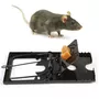 Tercera imagen para búsqueda de trampas para ratas