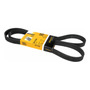 Banda Accesorios 206 1.4l L4 01 A 09 Rodatech 5630014