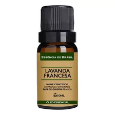 Óleo Essencial Lavanda Francesa 10ml Puro E Natural Essência Do Brasil