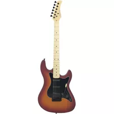 Guitarra Strinberg Strato Sts100 Css Fosco