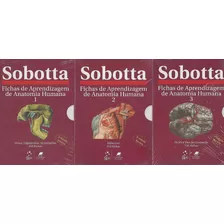 Sobotta - Fichas De Aprendizagem De Anatomia Humana Sobotta - 3 Volumes