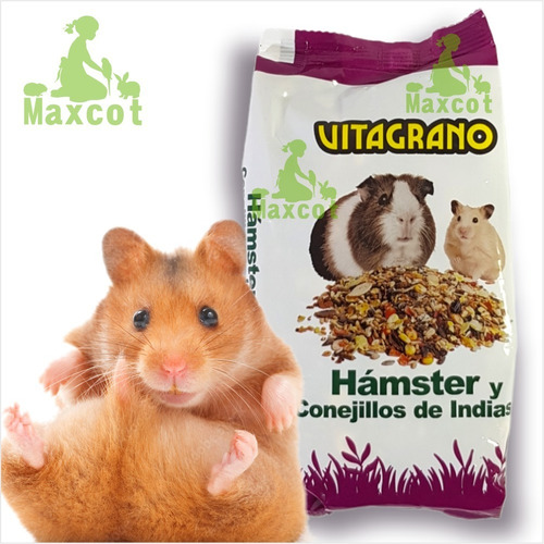 Alimento Hamster Semillas 300g - Unidad a $5900