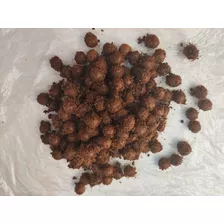 Sementes De Açai Paidegua 2kg Pre Germinadas Não Estam Germi