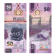 150 Billetes Juguete Prop Escenografia Utileria 50 Didactil