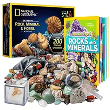 Caja De Colección De Rocas Niños - Set De 200+ Rocas ...