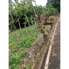 Se Venden 158 Tareas De Cacaos Ubicado En La Malena S.f.m