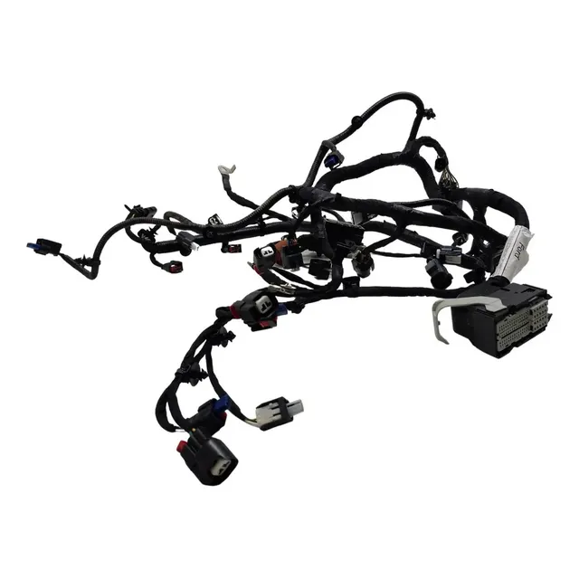 Chicote Do Motor Injeção Ford Ecosport 1.5 2020 1