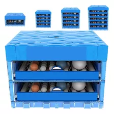 Pollos Manta Incubadora 128 Huevos A08