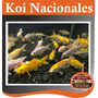 Tercera imagen para búsqueda de peces agua fria